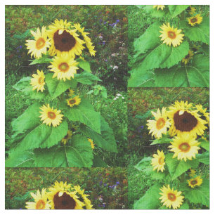 SONNENBLUMEN STOFF