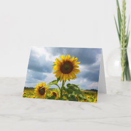 Sonnenblumen-Sturm-Leer-Notizkarte Dankeskarte