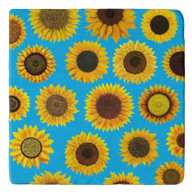 Sonnenblumen