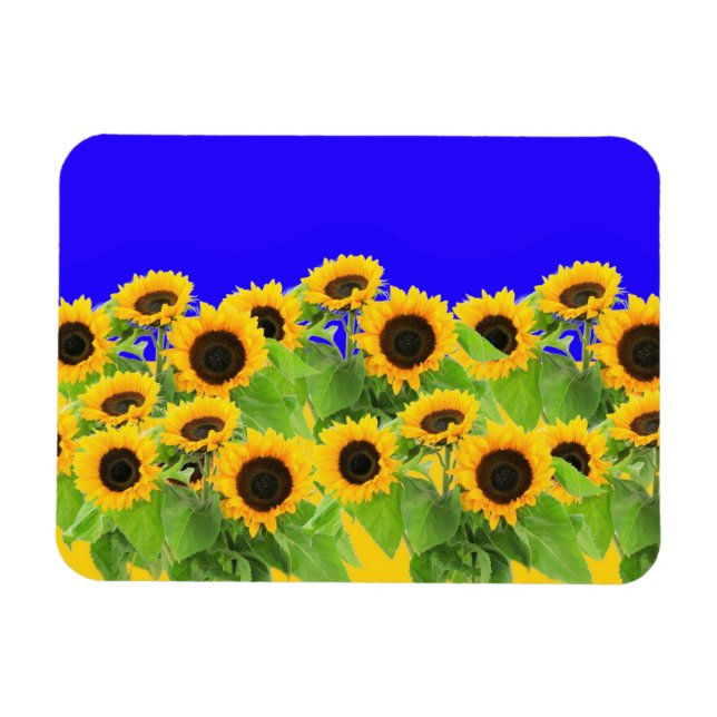 Sonnenblumen - ukrainische Flagge Friedensfreiheit Magnet (Horizontal)