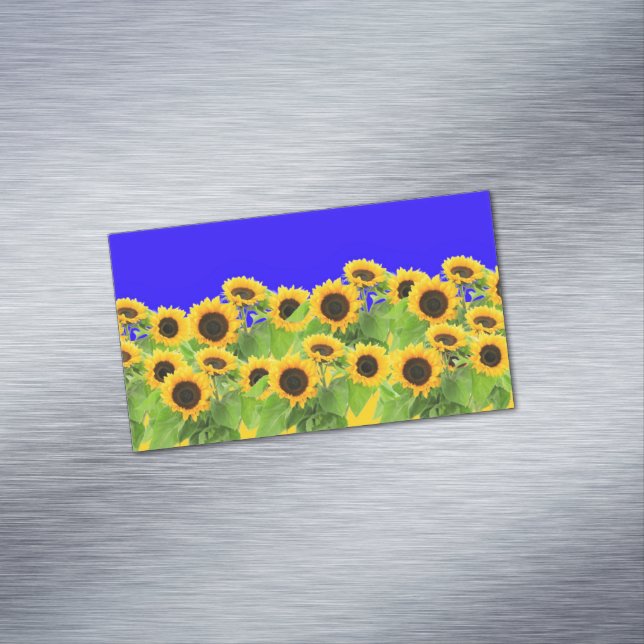 Sonnenblumen Ukrainische Flaggenfarben unterstütze Magnetische Visitenkarte (Beispiel)