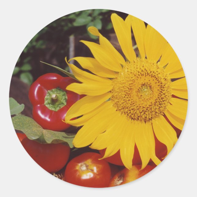 Sonnenblumen und Gemüse - Tomaten, rote Paprikasch Runder Aufkleber (Vorderseite)