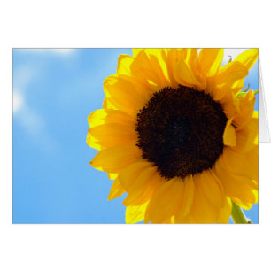 Sonnenblumen und Himmel