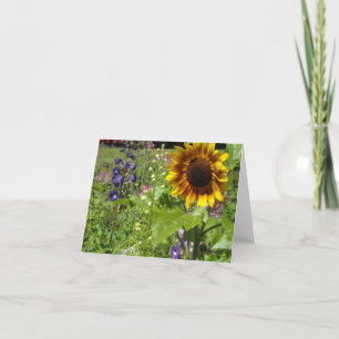 Sonnenblumen und Hollyhocks - leere Karte