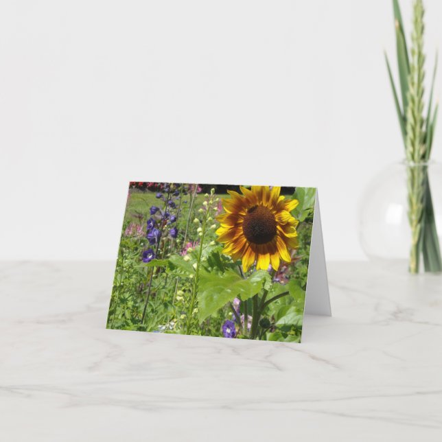 Sonnenblumen und Hollyhocks - leere Karte (Vorderseite)