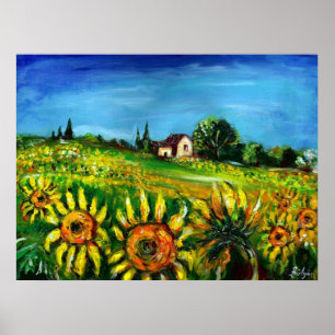 SONNENBLUMEN UND LÄNDER IN DER Toskana Poster