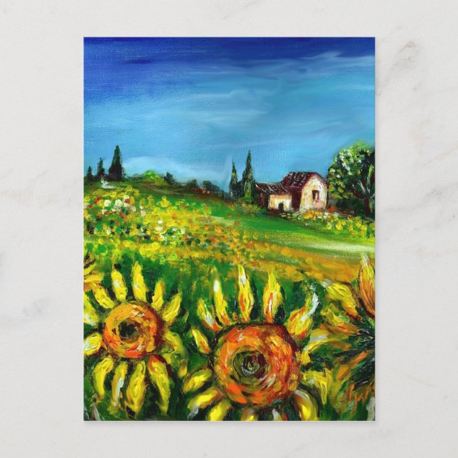 SONNENBLUMEN UND LÄNDER IN DER Toskana Postkarte (Vorderseite)