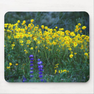 Sonnenblumen und Lavendel Mousepad
