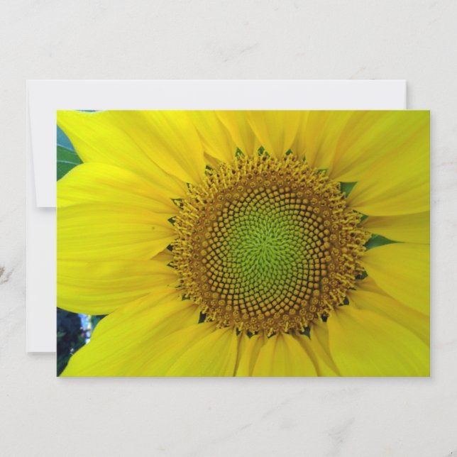 Sonnenblumen und Samen, Spirale, Goldenes Verhältn Einladung (Vorderseite)