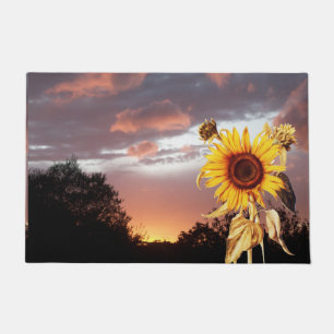 SONNENBLUMEN UND SOMMERSONNENANSCHLUSS MIT PINKKLO FUßMATTE