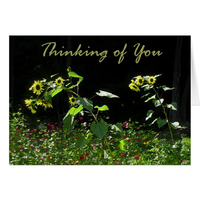 Sonnenblumen und Wildblumen (Vorderseite (Horizontal))