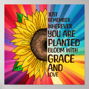 Sonnenblumen und Zitat   Wohin auch immer Sie gepf Poster