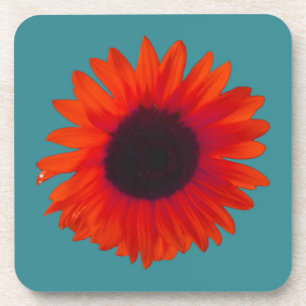 Sonnenblumen-Untersetzer (Set von 6) (Orange und A Untersetzer
