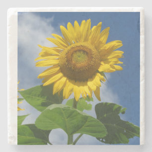 Sonnenblumen-Untersetzer Steinuntersetzer