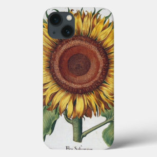 Sonnenblumen Vintag Damask Blume Art title_seo2