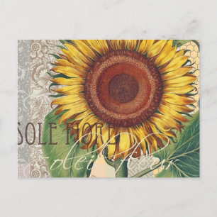 Sonnenblumen Vintag Damask Blume Art Postkarte