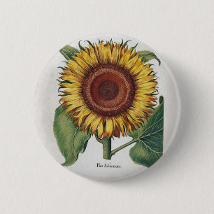 Sonnenblumen Vintag Damask Blume Muster Art Button