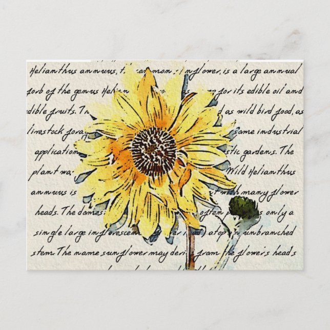 Sonnenblumen Vintage Aquarellmalerei Postkarte (Vorderseite)