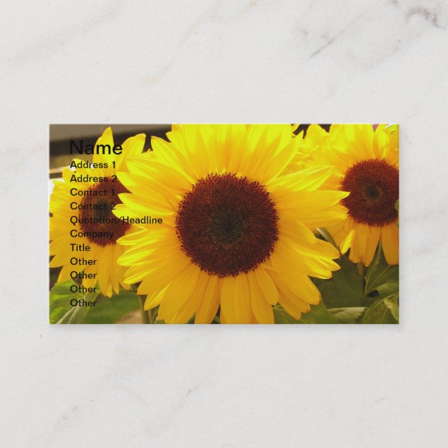 Sonnenblumen-Visitenkarte Visitenkarte (Vorderseite)