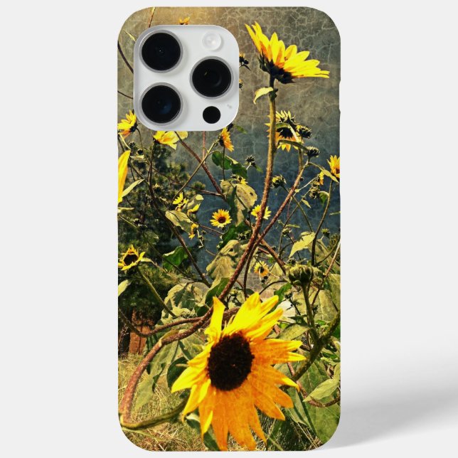Sonnenblumen vor Sturmwolken iPhone 15 Pro Max Hülle (Rückseite)