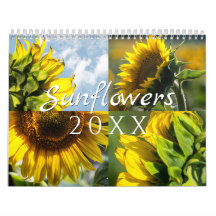 Sonnenblumen-Wandkalender - 12 Fotosammlung