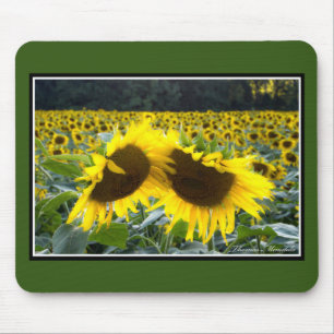 Sonnenblumen zusammen Mousepad durch Thomas