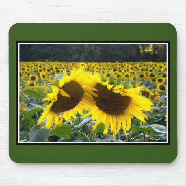 Sonnenblumen zusammen Mousepad durch Thomas (Vorne)