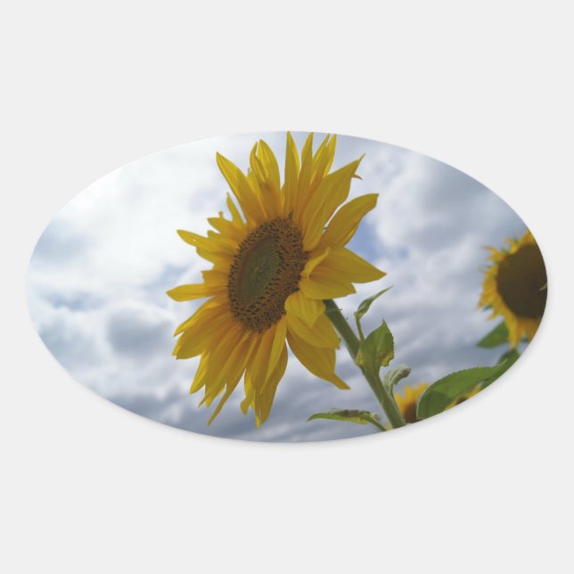Sonnenblumenaufkleber Ovaler Aufkleber (Vorderseite)