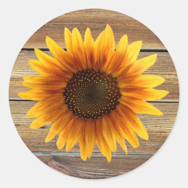 Sonnenblumenaufkleber Runder Aufkleber (Vorderseite)