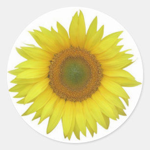 Sonnenblumenaufkleber Runder Aufkleber
