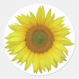 Sonnenblumenaufkleber Runder Aufkleber