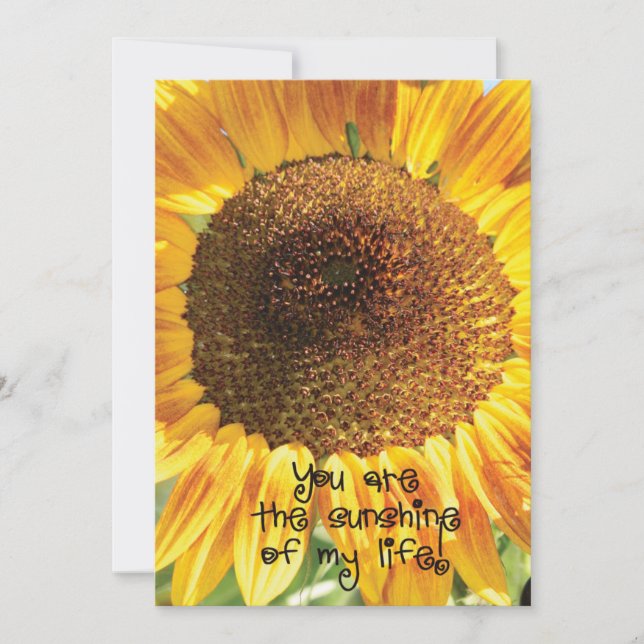 Sonnenblumenaufnahme | Du bist der Sonnenschein Dankeskarte (Vorderseite)