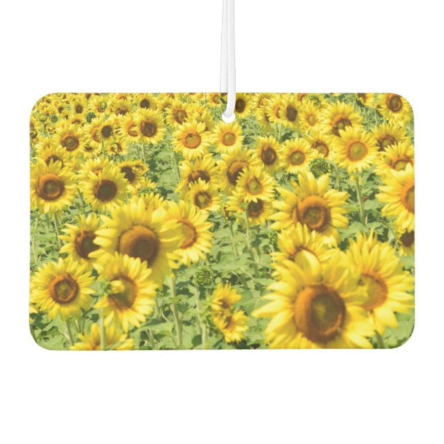 Sonnenblumenautofrescher Autolufterfrischer (Vorderseite)