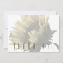 Sonnenblumenbeerdigung Danke