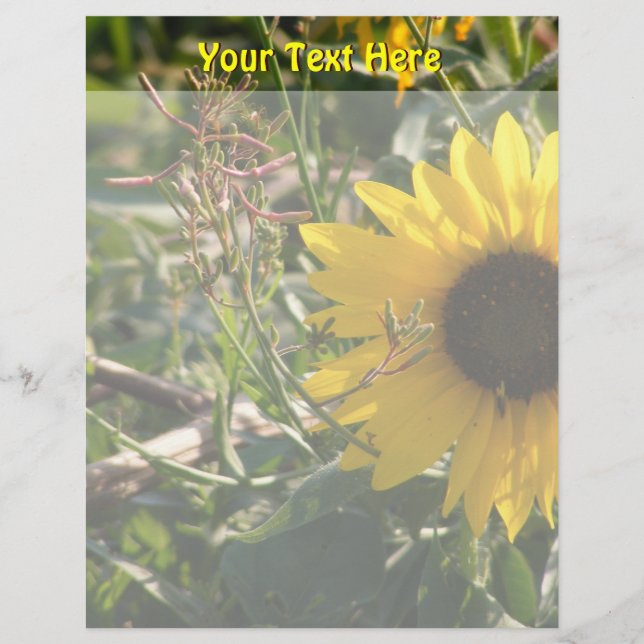 Sonnenblumenbrille (Vorderseite)