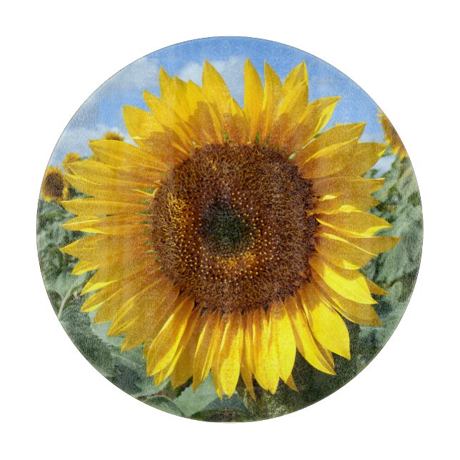 Sonnenblumendekoration Glas-Koppel-Board Schneidebrett (Vorderseite)