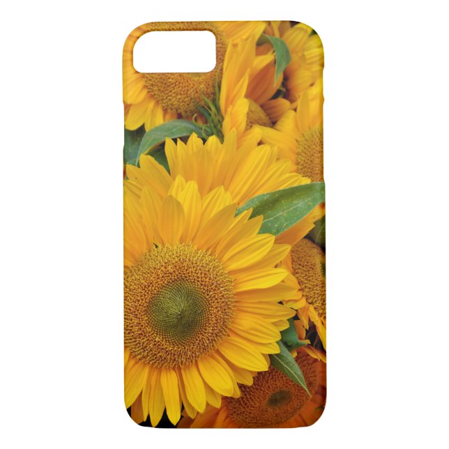 Sonnenblumendesign Case-Mate iPhone Hülle (Rückseite)