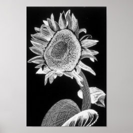 Sonnenblumendruck - Kunst für Wohltätigkeit Poster