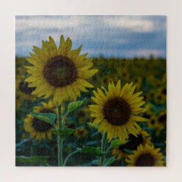 SonnenblumenDuo Nah