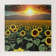 Sonnenblumenfeld bei Sonnenuntergang