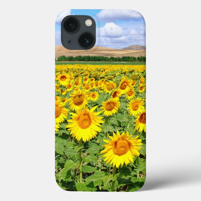 Sonnenblumenfeld Case-Mate iPhone Hülle (Rückseite)