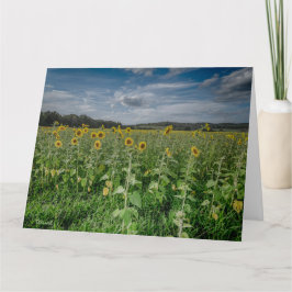 "Sonnenblumenfeld" Dankeskarte
