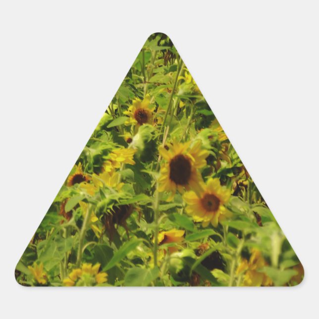 Sonnenblumenfeld Dreieckiger Aufkleber (Vorderseite)