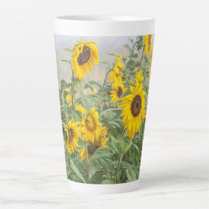 Sonnenblumenfeld Gelb Grün Schöne Blüte Milchtasse