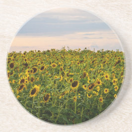 Sonnenblumenfeld im Abend Getränkeuntersetzer
