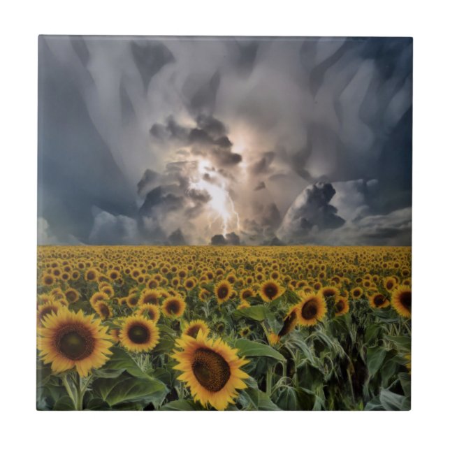 Sonnenblumenfeld im Sturm Fliese (Vorderseite)