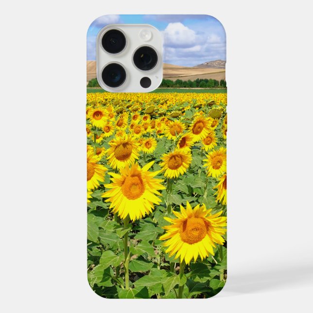Sonnenblumenfeld iPhone 15 Pro Max Hülle (Rückseite)