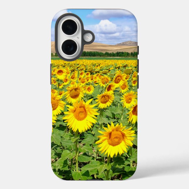 Sonnenblumenfeld iPhone 16 Hülle (Rückseite)