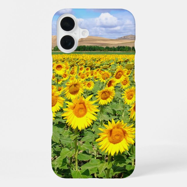 Sonnenblumenfeld iPhone 16 Plus Hülle (Rückseite)