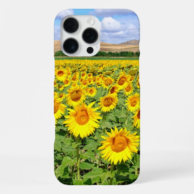 Sonnenblumenfeld iPhone 16 Pro Max Hülle (Rückseite)